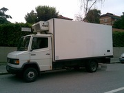 запчасти для mersedes 609 d,  iveco daily 49.12,  fiat ducato 1.9d