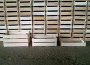 ящики деревянные